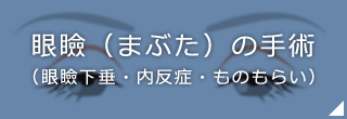 眼瞼（まぶた）の手術（眼瞼下垂・内反症・ものもらい）